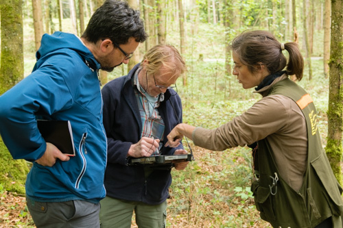 photo of field survey